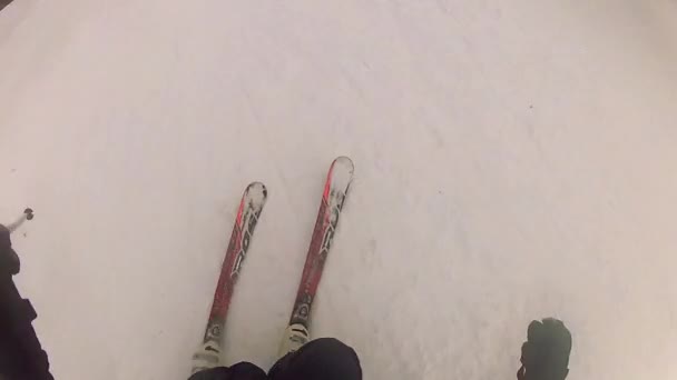 Skidåkning downhill — Stockvideo