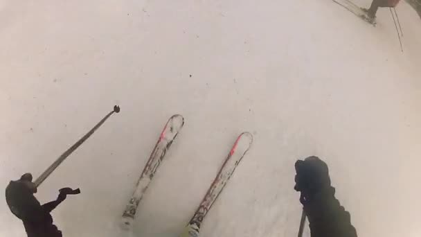 Skiing downhill — Stock Video