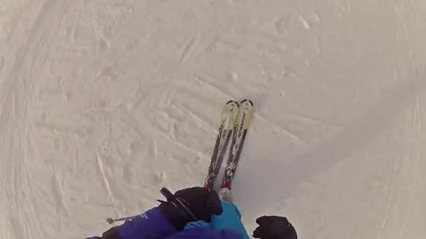 Skiing Downhill — Stock Video