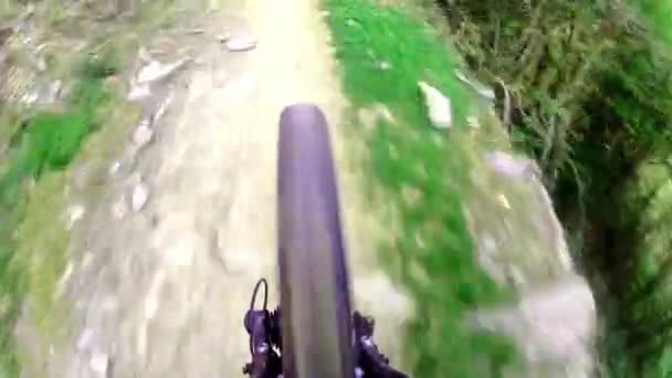 Jadąc rowerem — Wideo stockowe