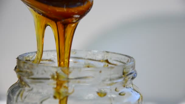 Мед наливают в хрустальную чашу — стоковое видео