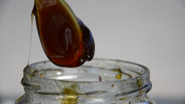 Honing wordt gegoten in glazen pot — Stockvideo