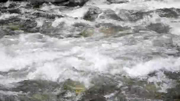 Mountain Stream — Stock Video