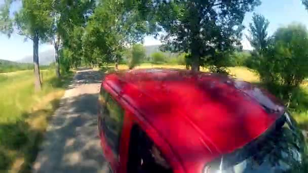 Conduire sur la route de Coutry parmi les arbres — Video