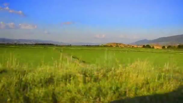 Landschapsmening uit een snel rijdende auto — Stockvideo