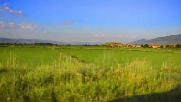 Vista paisagem de carro de condução rápida — Vídeo de Stock