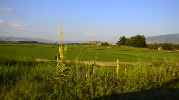 Vista del paesaggio da auto guida veloce — Video Stock