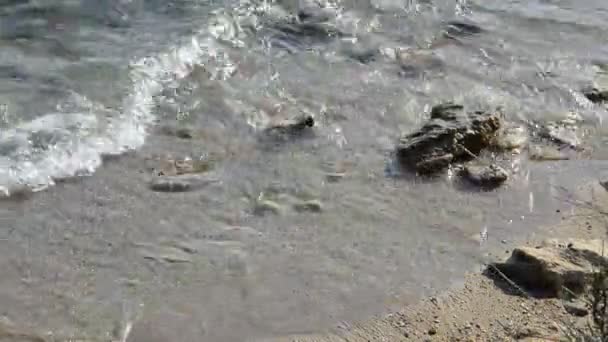 Spiaggia rocciosa — Video Stock