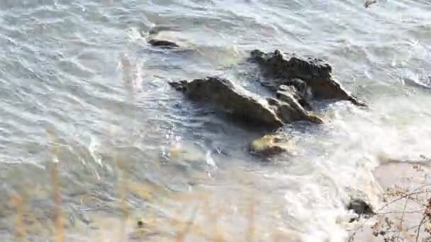 ビーチの岩の上の水の波のしぶき — ストック動画