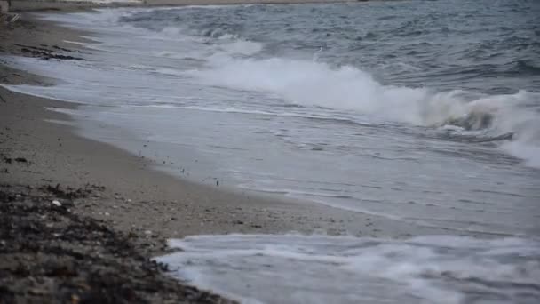 Ondas onduladas en la playa — Vídeos de Stock