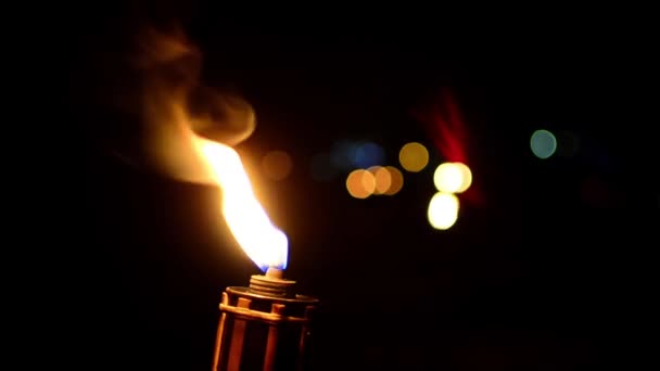 Мерцающий факел горит пламя — стоковое видео