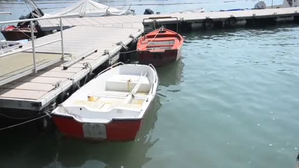 Tropiska vatten scen med pasteller och båt. — Stockvideo