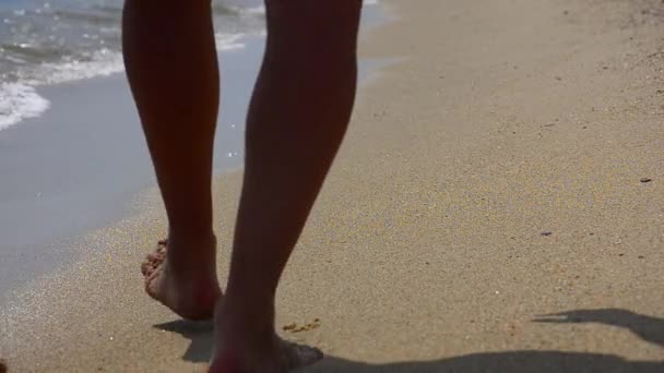 Paar spaziert am Strand — Stockvideo