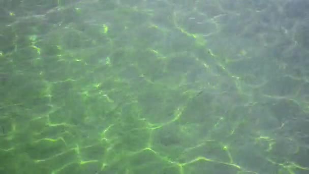 Rent vatten med reflektion — Stockvideo