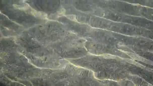 Strand zand onder water reflectie — Stockvideo