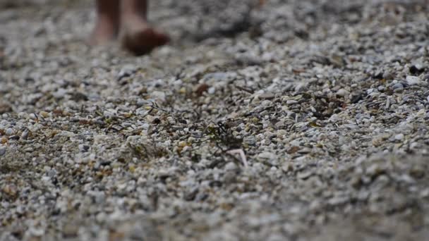 adolescent fait empreintes dans le sable à la plage 