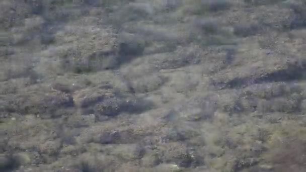 Océan avec des pierres et des coraux sous les vagues d'eau propre 