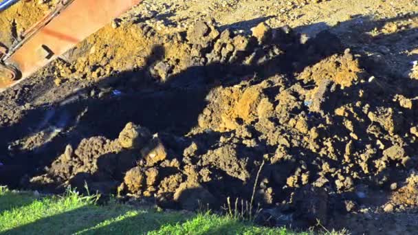 掘削機は地面を掘ってください。 — ストック動画