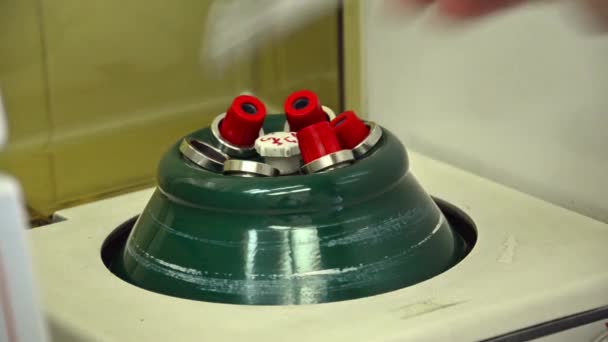 Frascos para injetáveis de centrifugação de amostras líquidas — Vídeo de Stock