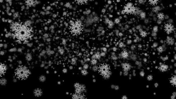 Caída de copos de nieve voladores — Vídeos de Stock