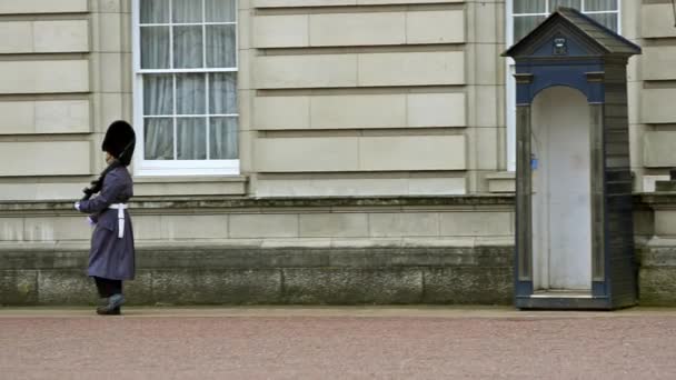 Guardias del Palacio de Buckingham — Vídeo de stock