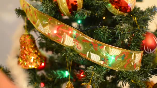 Mettre la décoration sur l'arbre de Noël — Video