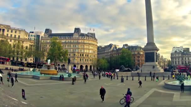Trafalgar square in London — Stock Video