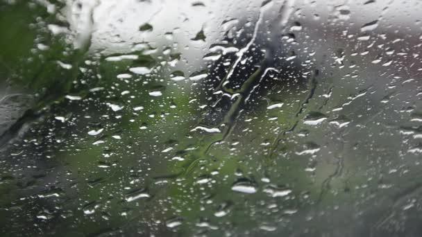 Chuva cai fluindo para baixo janela — Vídeo de Stock