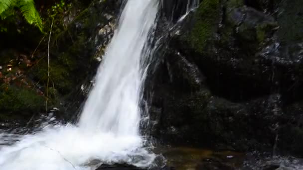 Cachoeira — Vídeo de Stock