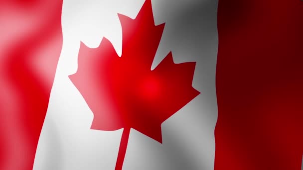 Canadian Flag — Stock Video © zefart #49807551
