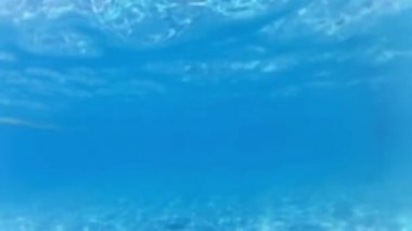 Sualtı dalgalardan doğal yüksek kalite