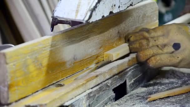 Carpinteiro trabalhando com serra de lâmina circular — Vídeo de Stock