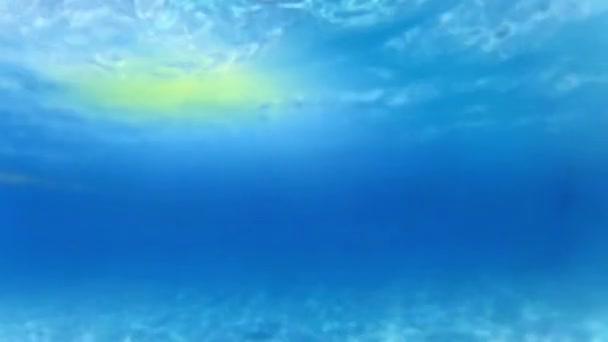 Underwater scenewith fractal waves and light rays — Stock Video