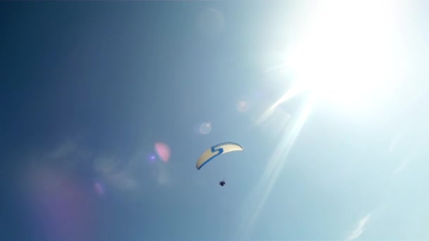 Paragliders in fel zonlicht — Stockvideo