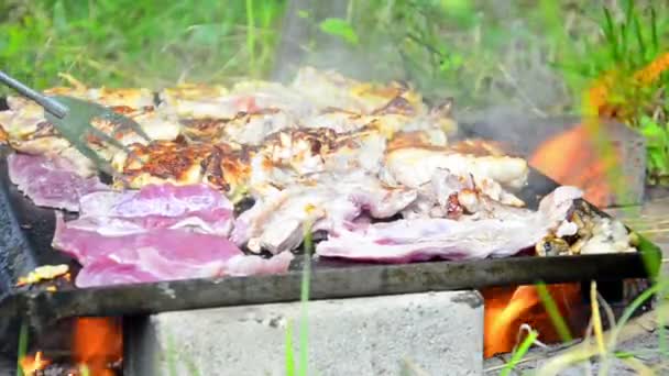 肉烤烧烤 — 图库视频影像