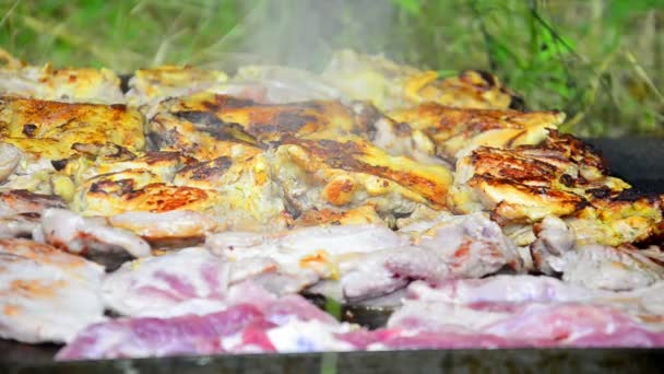 Vlees op de barbecue grillen — Stockvideo