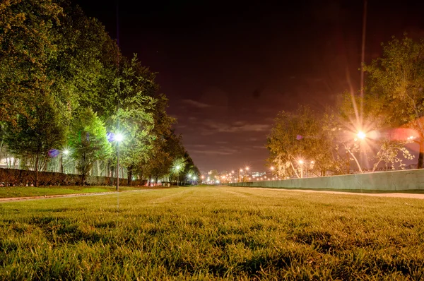 çim perspektif park geceleri