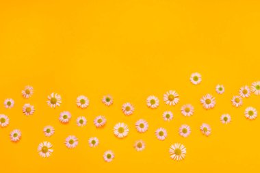 Taze çiçeklerle süslenmiş sarı kağıt arkaplan