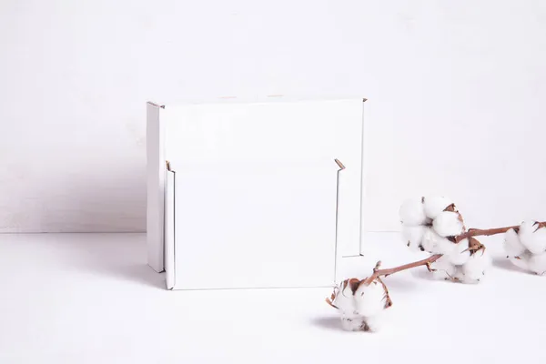 用棉花枝装饰的白色纸盒 — 图库照片