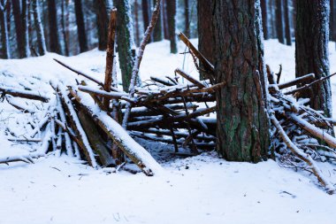 Çocuklar kış ormanlarında kulübecilik oynuyorlar.