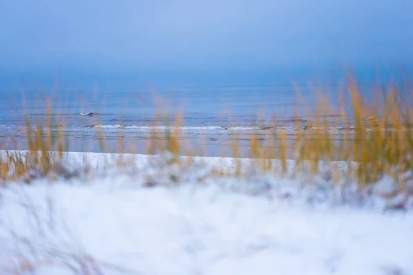 冬の風景 海のビーチで雪 — ストック写真