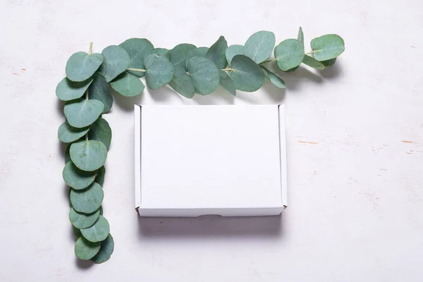 Caja Cartón Blanco Decorada Con Branc Verde Eucalipto — Foto de Stock