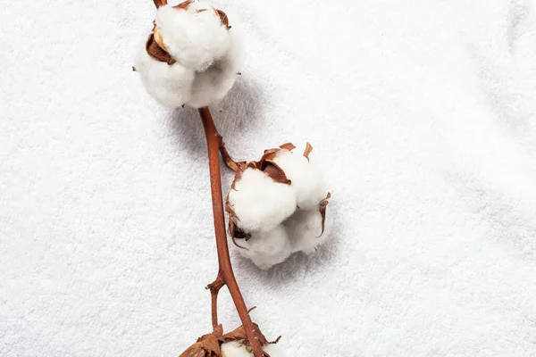 Bílý Přírodní Bavlněný Ručník Květinovým Pupenem Dřevěném Pozadí — Stock fotografie