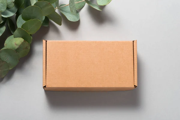 Brown Corrugated Cardboard Mailer Box on wooden desk with eucaly