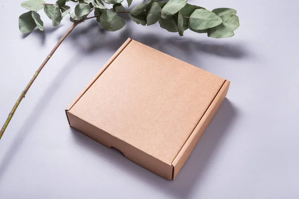 Brown Corrugated Cardboard Mailer Box on wooden desk with eucaly