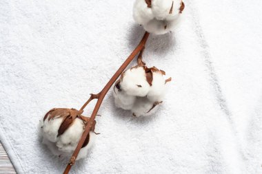 Tahta arka planda çiçek tomurcuğu olan beyaz doğal pamuk havlu.