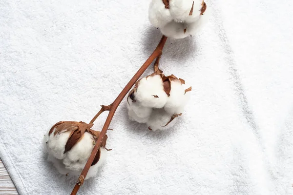 Tahta arka planda çiçek tomurcuğu olan beyaz doğal pamuk havlu.