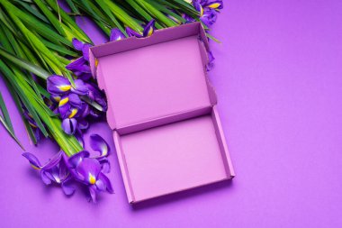 Renkli karton kutu. Taze Iris çiçekleriyle süslenmiş.