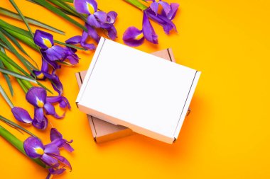 Beyaz karton karton kutu. Taze Iris çiçekleriyle süslenmiş.