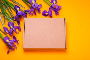 Kahverengi karton kutu. Taze Iris çiçekleriyle süslenmiş.